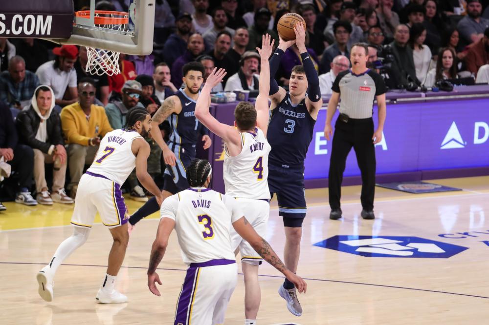 这种多样化 这种多样化